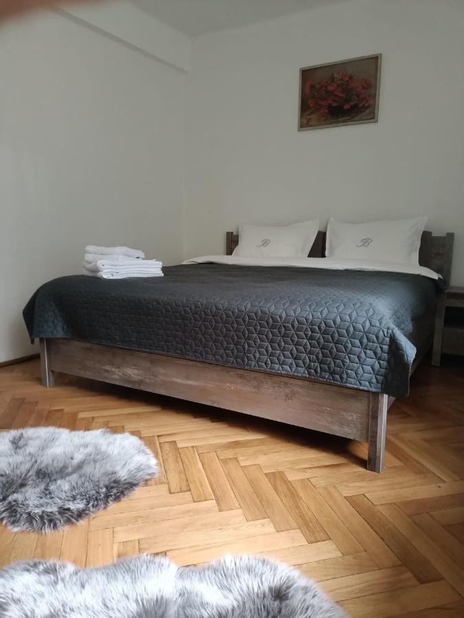 Vintage Gray Apartament Braşov Eksteriør bilde
