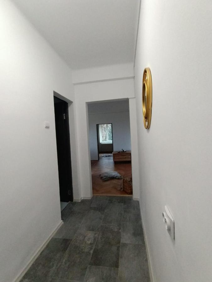 Vintage Gray Apartament Braşov Eksteriør bilde