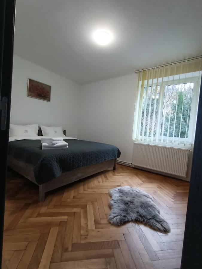 Vintage Gray Apartament Braşov Eksteriør bilde